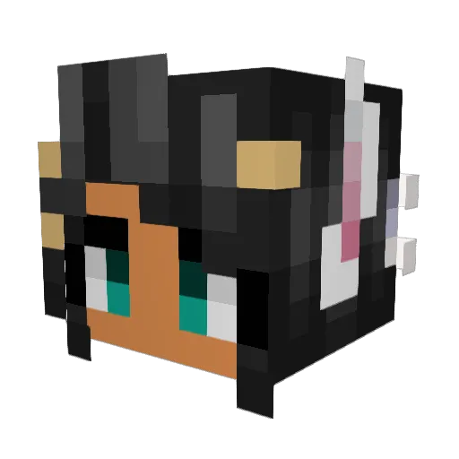 Ako2002 Minecraft avatar head, 3D render