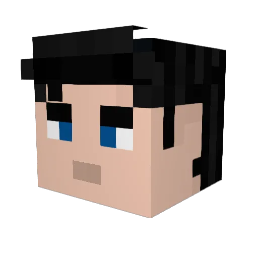 Akordeoniarz Minecraft avatar head, 3D render