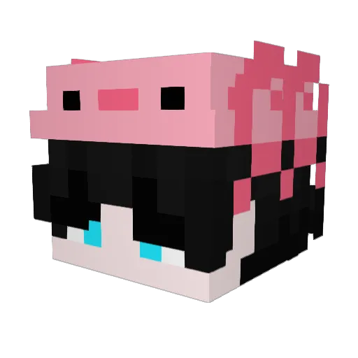 Akosas Minecraft avatar head, 3D render
