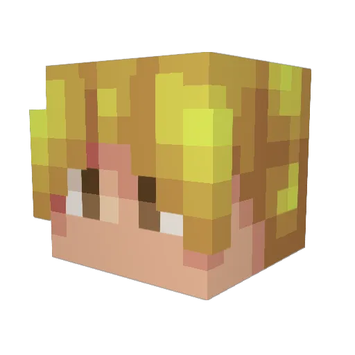 Akoteo Minecraft avatar head, 3D render