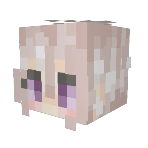 Akotso Minecraft avatar head, 3D render