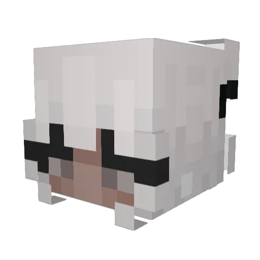 Akouo Minecraft avatar head, 3D render