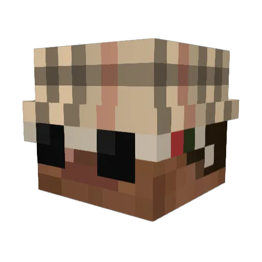 AkraaRS7 Minecraft avatar head, 3D render