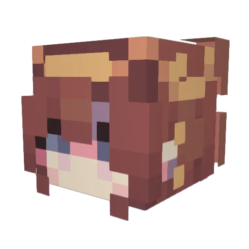 Akrafena Minecraft avatar head, 3D render