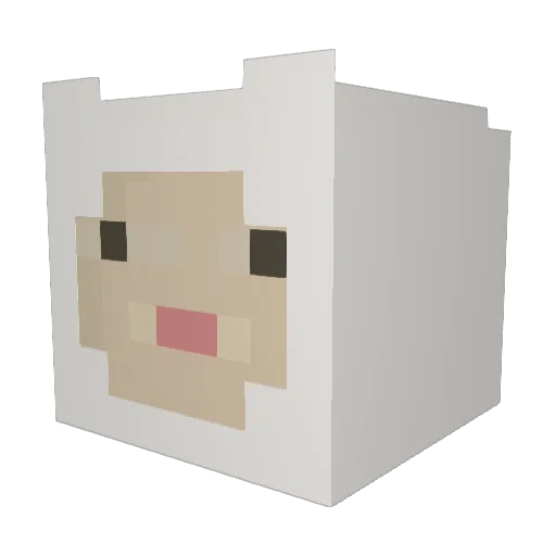 Akrelous Minecraft avatar head, 3D render