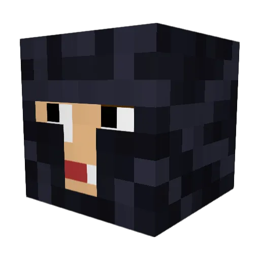Akreter Minecraft avatar head, 3D render