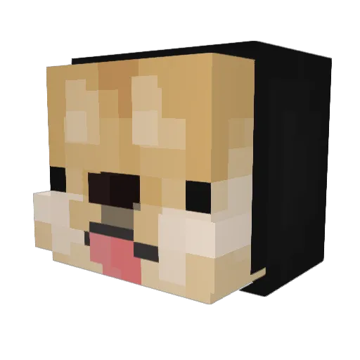 Akri1 Minecraft avatar head, 3D render