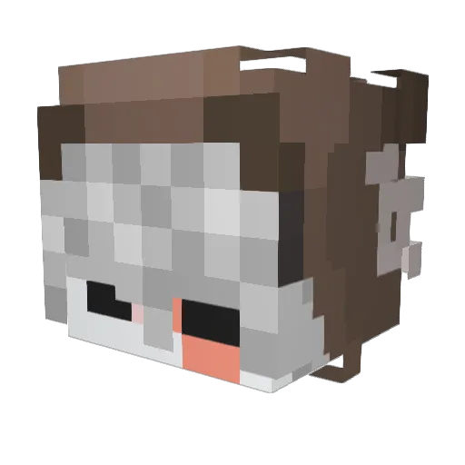 Akriaz Minecraft avatar head, 3D render