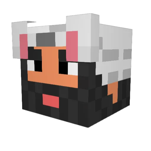 Akro81 Minecraft avatar head, 3D render