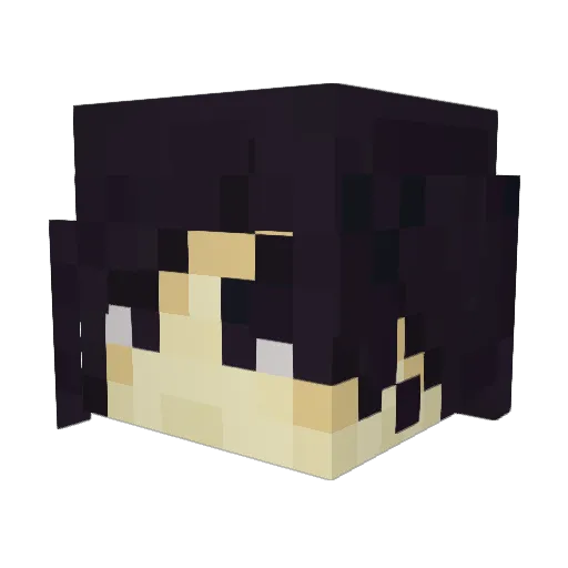Akronym256 Minecraft avatar head, 3D render