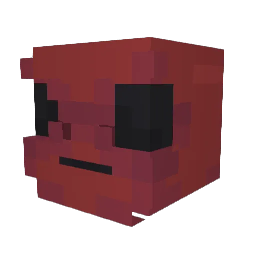 AksharLeo Minecraft avatar head, 3D render