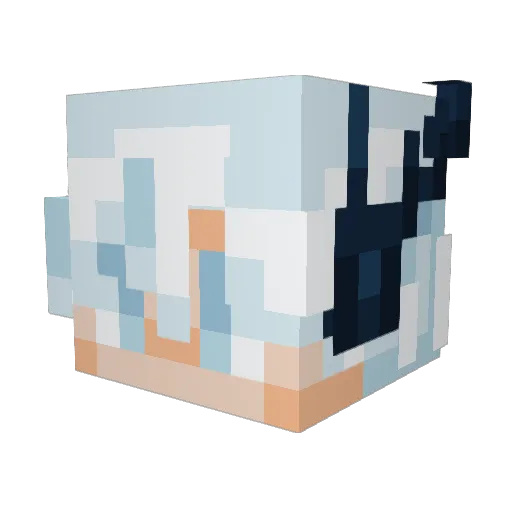 Akskmsks Minecraft avatar head, 3D render