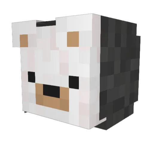 AktivAmEssenn Minecraft avatar head, 3D render