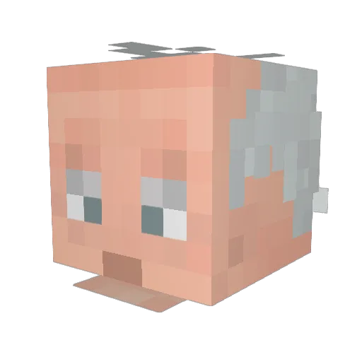 AktiverBusfahrer Minecraft avatar head, 3D render