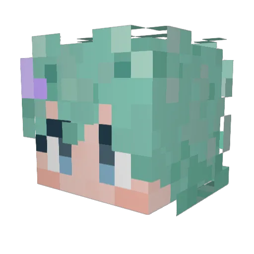 Aku739 Minecraft avatar head, 3D render
