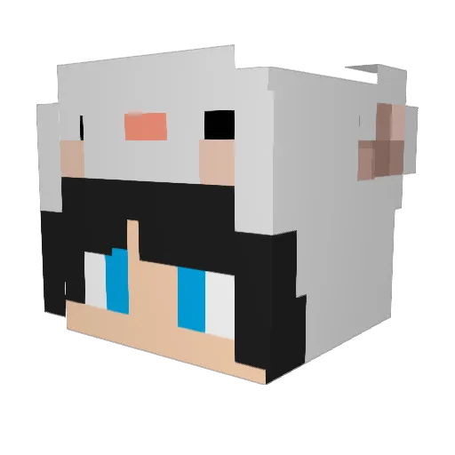 AkuAsterix Minecraft avatar head, 3D render