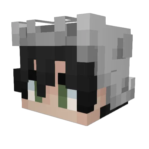 AkuKnight Minecraft avatar head, 3D render