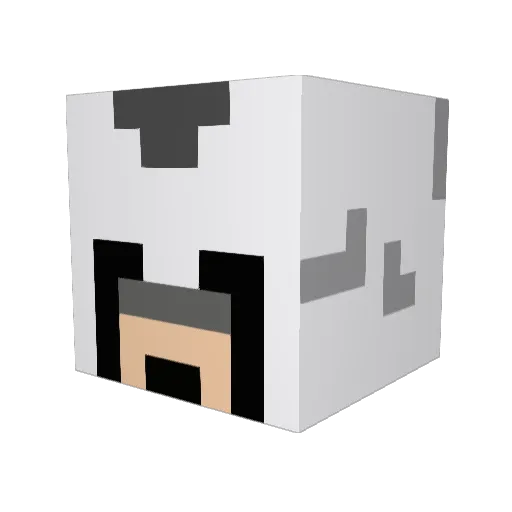 AkuPA0 Minecraft avatar head, 3D render