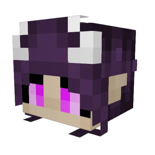 AkuV1 Minecraft avatar head, 3D render