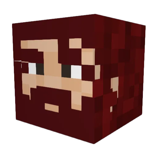 Akula2021 Minecraft avatar head, 3D render