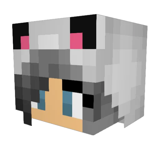 Akuma94 Minecraft avatar head, 3D render