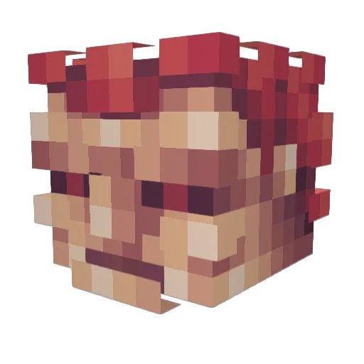 AkumaNCN Minecraft avatar head, 3D render