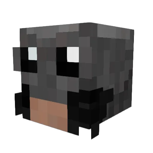 AkusPizzaGuy Minecraft avatar head, 3D render