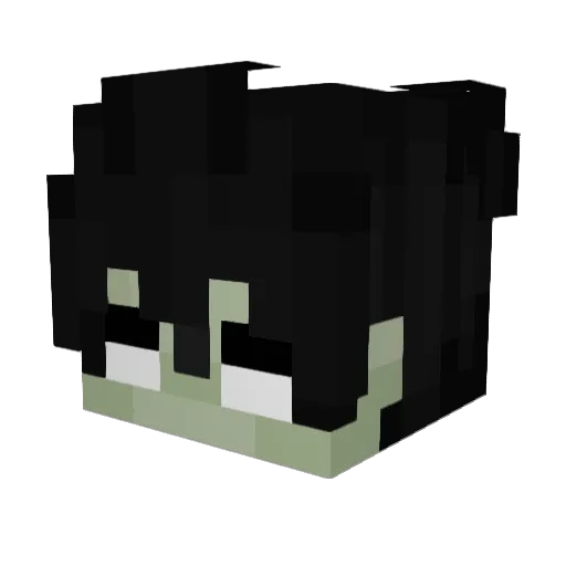 Akusteen Minecraft avatar head, 3D render