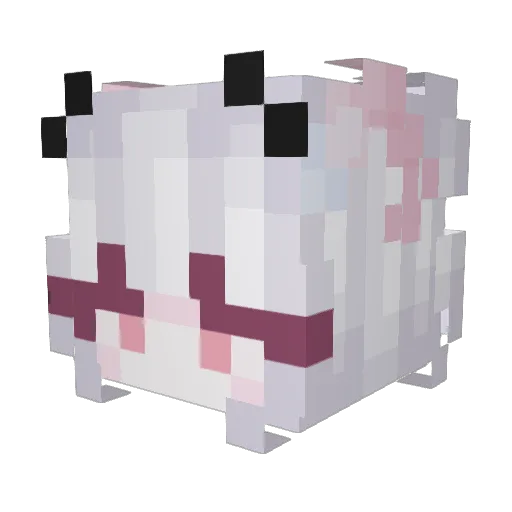 AkutabiEto Minecraft avatar head, 3D render