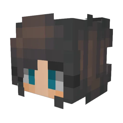 Akwa69 Minecraft avatar head, 3D render