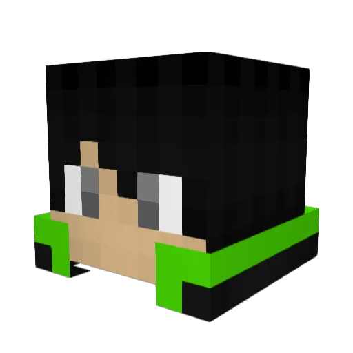 AkwardPanda74 Minecraft avatar head, 3D render