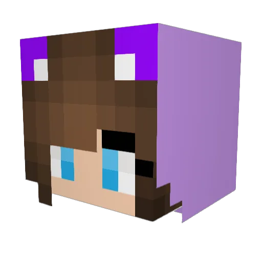 AkwrdTurtle Minecraft avatar head, 3D render