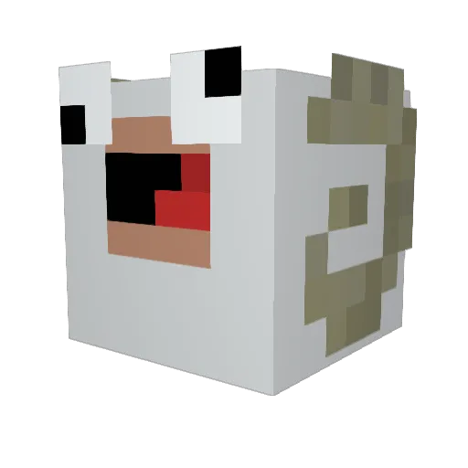 Aky00 Minecraft avatar head, 3D render