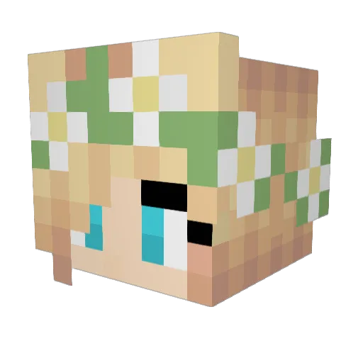AkynaFade Minecraft avatar head, 3D render