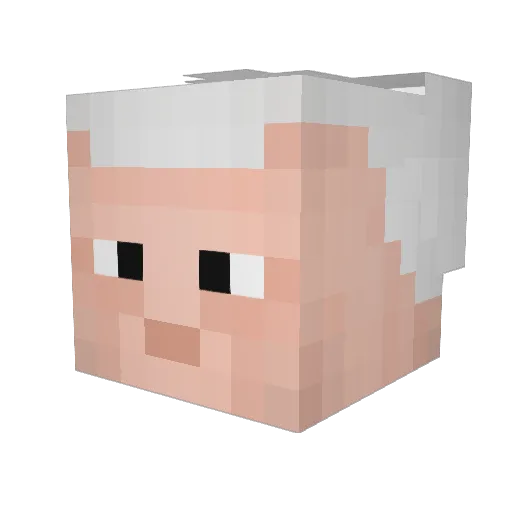 Akzuu Minecraft avatar head, 3D render