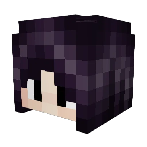 Al1Cat101 Minecraft avatar head, 3D render