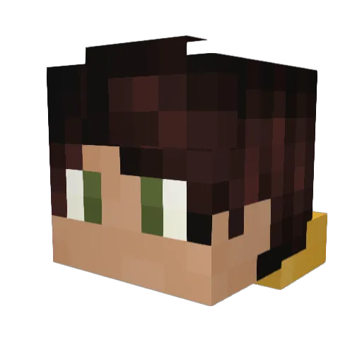 Al4m8624 Minecraft avatar head, 3D render