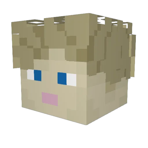 Al5in Minecraft avatar head, 3D render