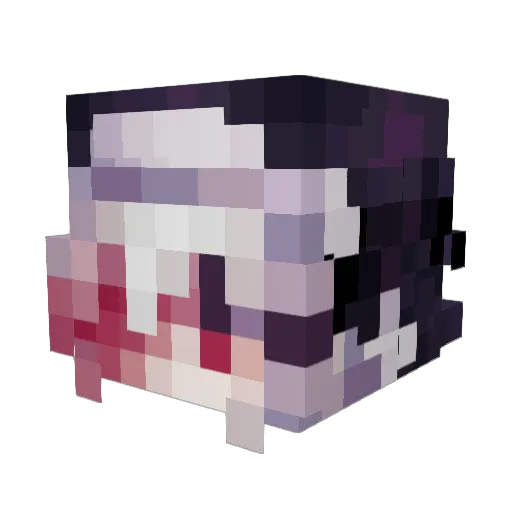AlNoma Minecraft avatar head, 3D render