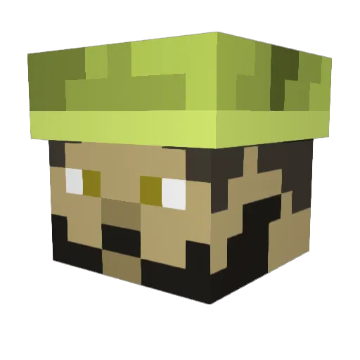Alaaeddine Minecraft avatar head, 3D render