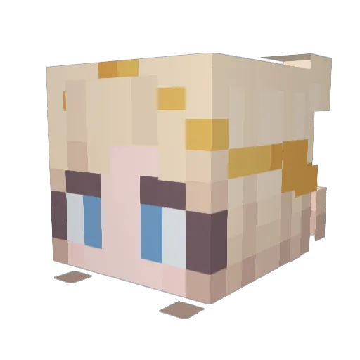 Alaara Minecraft avatar head, 3D render