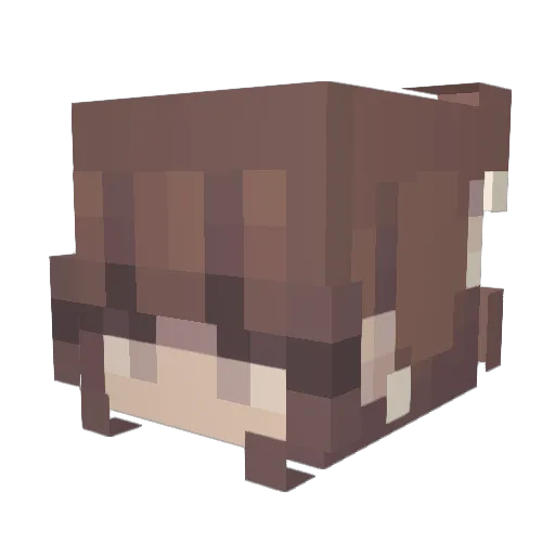 AlabamaR Minecraft avatar head, 3D render
