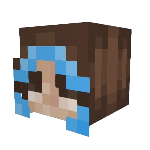Aladi14 Minecraft avatar head, 3D render