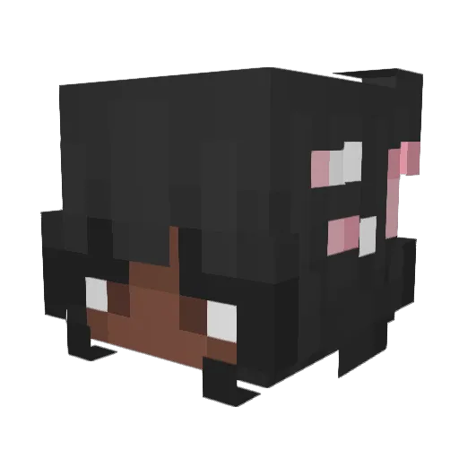 Alaeyahgames Minecraft avatar head, 3D render