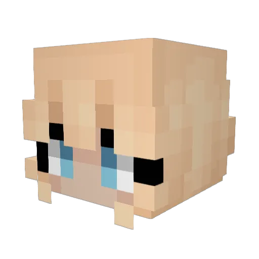 AlainaMoons Minecraft avatar head, 3D render