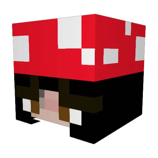 Alaina_Games Minecraft avatar head, 3D render