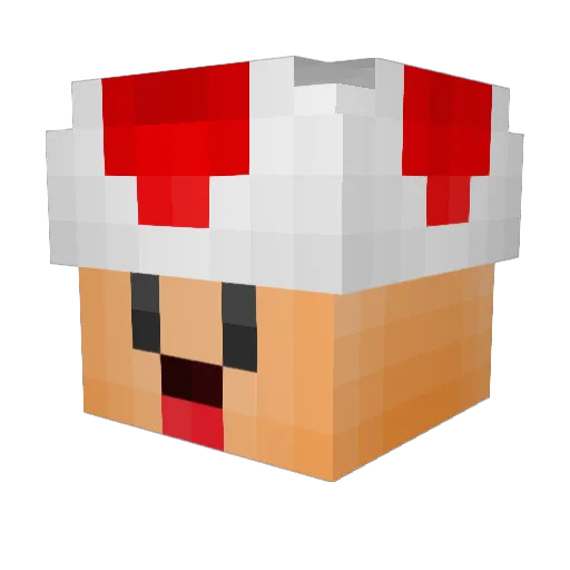 Alairandreau Minecraft avatar head, 3D render