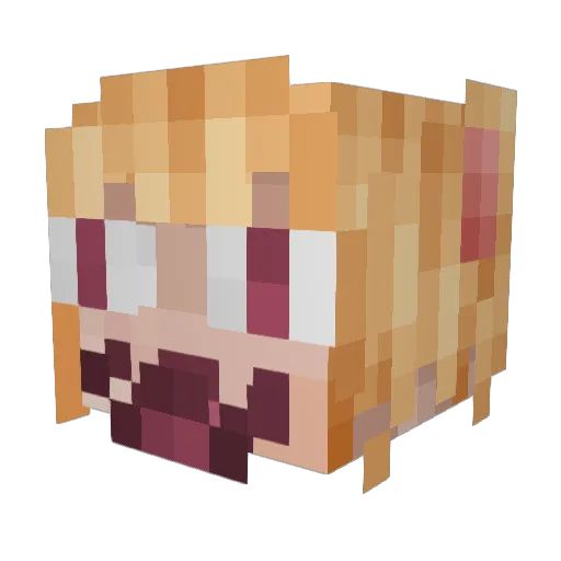 AlakGG Minecraft avatar head, 3D render