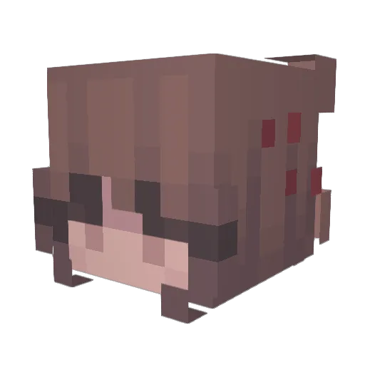 AlakoalaUwU Minecraft avatar head, 3D render