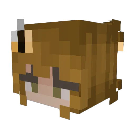 Alamo808 Minecraft avatar head, 3D render